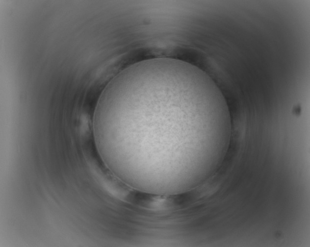 X0000114130130200910151554