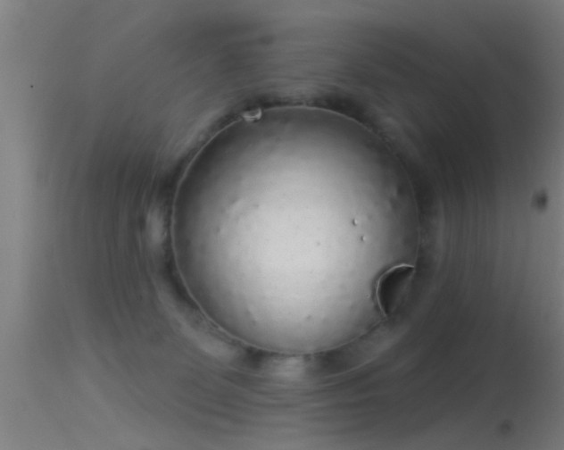 X0000114130131200910151554