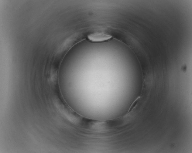 X0000114130132200910151554