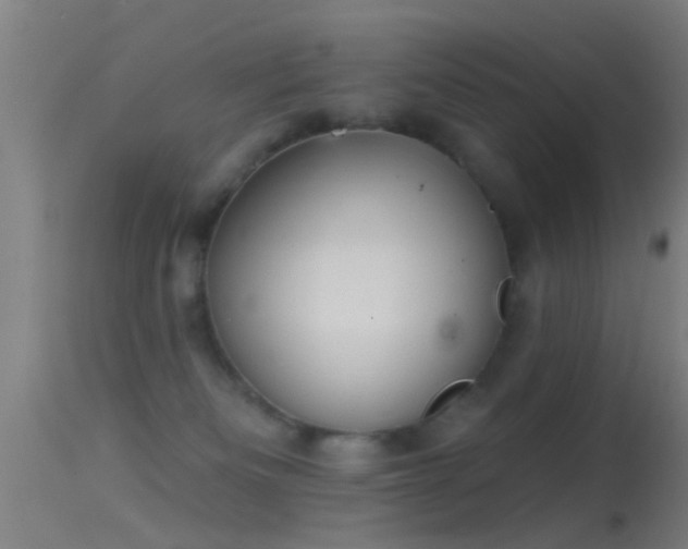 X0000114130133200910151554