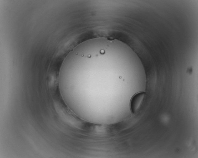 X0000114130134200910151554