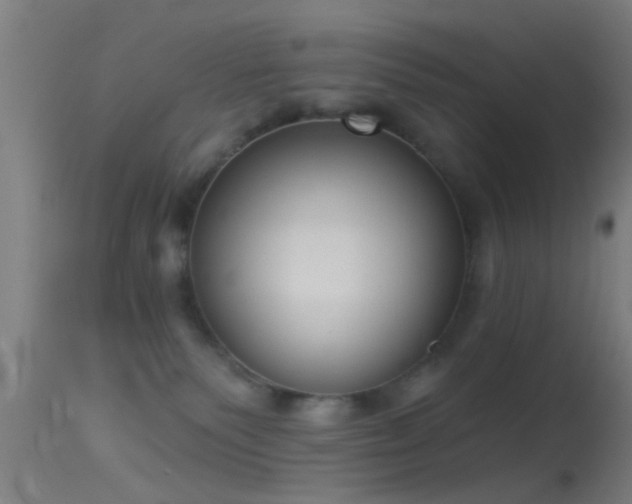 X0000114130135200910151554