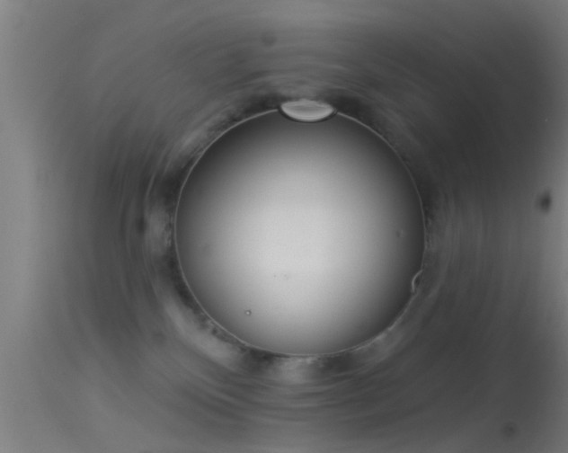 X0000114130136200910151554