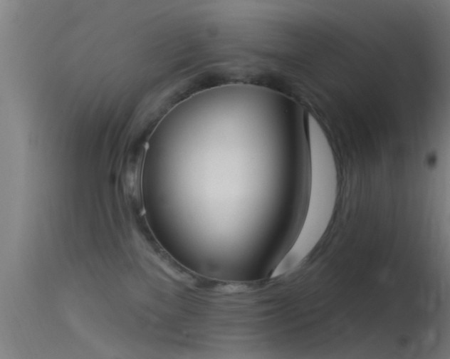 X0000114130137200910151554