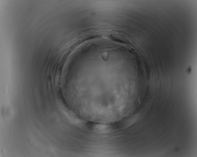 X0000114130139200910151554