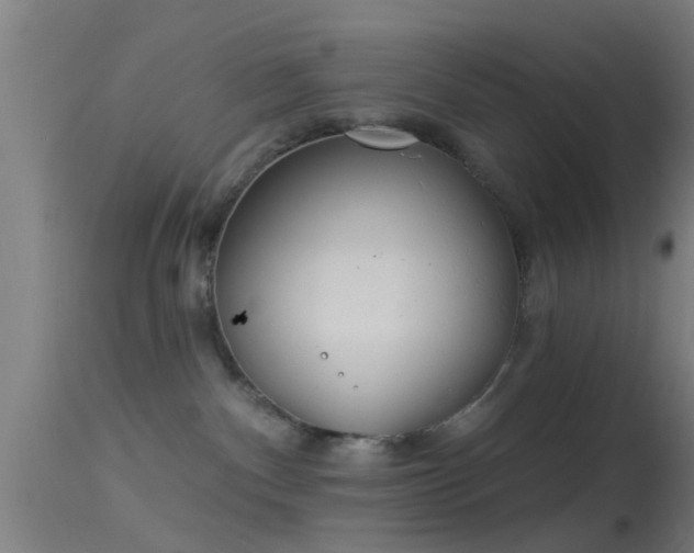 X0000114130140200910151554