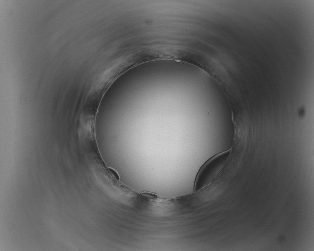 X0000114130141200910151554