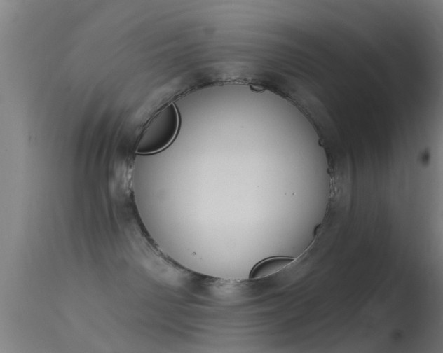 X0000114130142200910151554