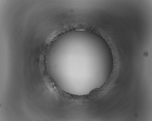 X0000114130144200910151554