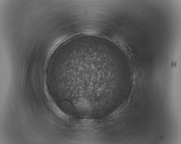 X0000114130145200910151553