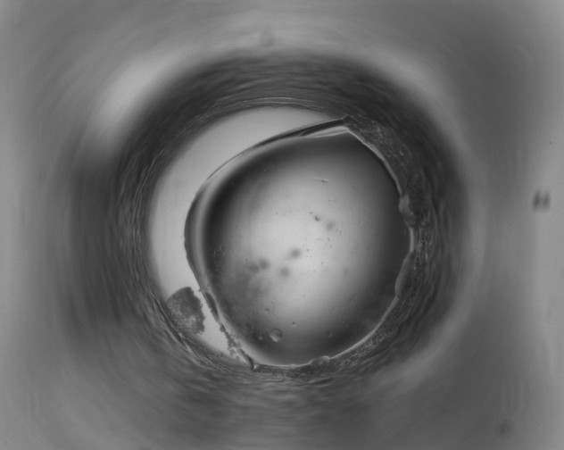 X0000114130146200910151553