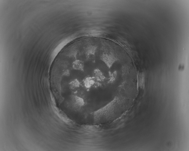 X0000114130147200910151553