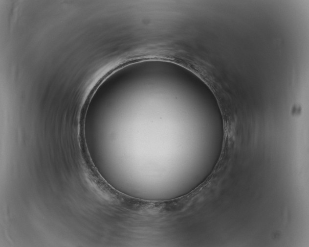 X0000114130148200910151553