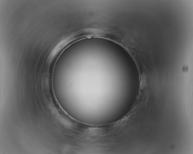 X0000114130150200910151553