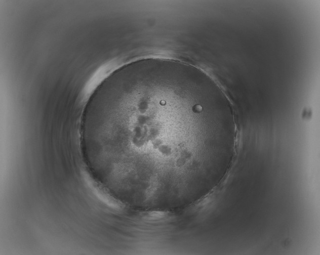 X0000114130151200910151553