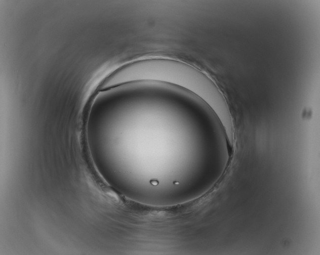 X0000114130152200910151553