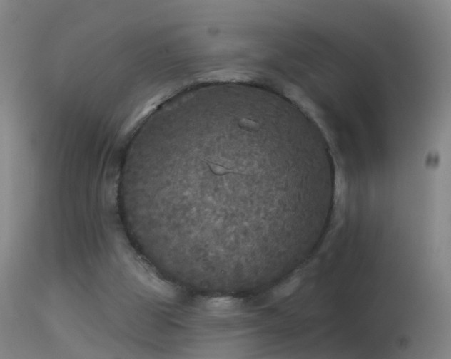 X0000114130153200910151553