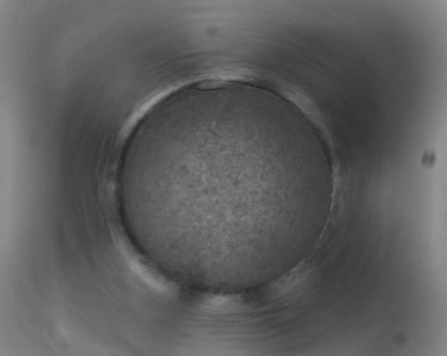 X0000114130155200910151553