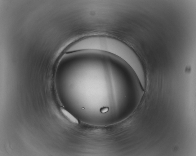 X0000114130156200910151553