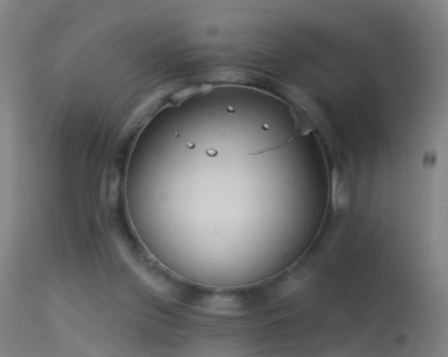 X0000114130157200910151553