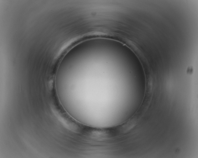 X0000114130160200910151553