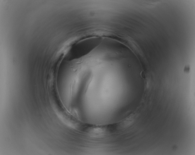 X0000114130163200910151553