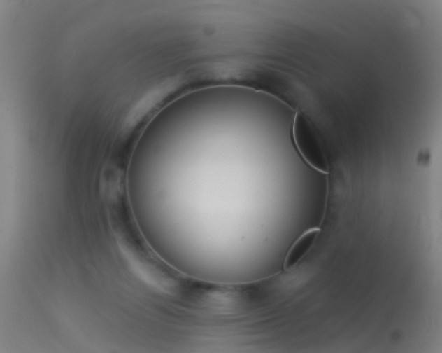 X0000114130164200910151553