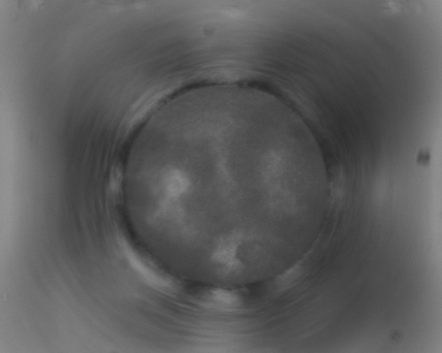 X0000114130166200910151553