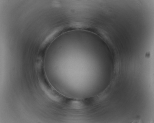 X0000114130167200910151553