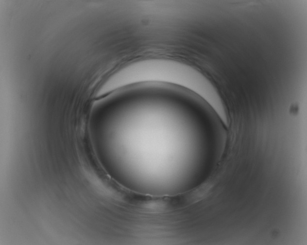 X0000114130168200910151553