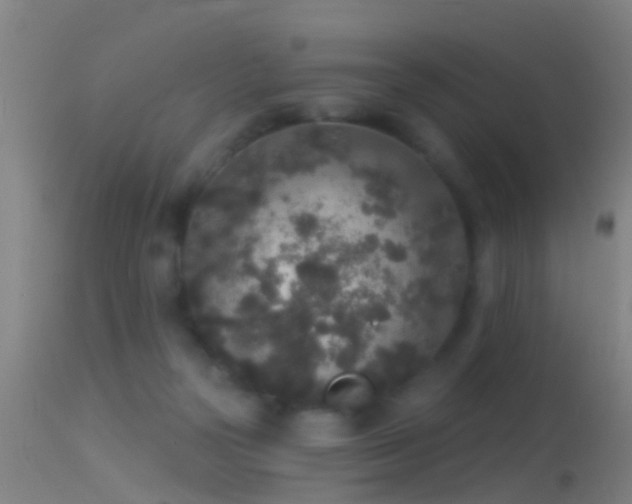 X0000114130169200910151553