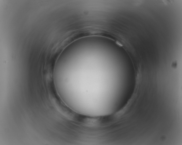 X0000114130170200910151553