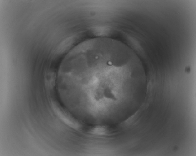 X0000114130171200910151553