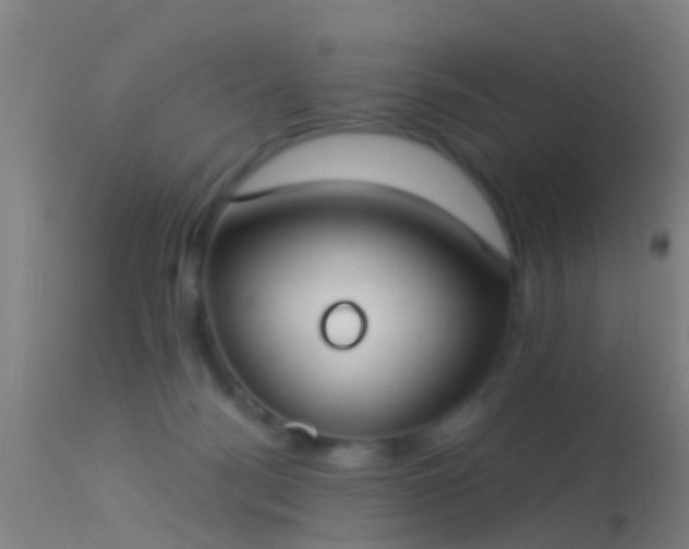 X0000114130172200910151554