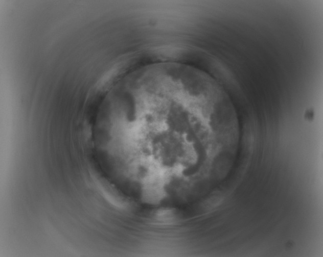 X0000114130173200910151554