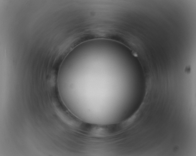 X0000114130174200910151554