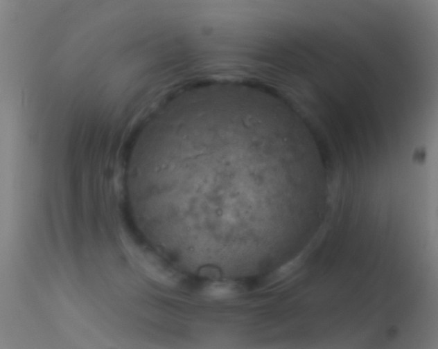 X0000114130175200910151554