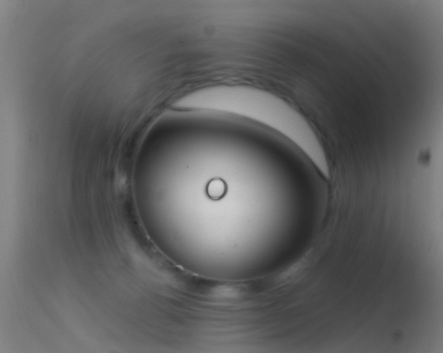 X0000114130176200910151554