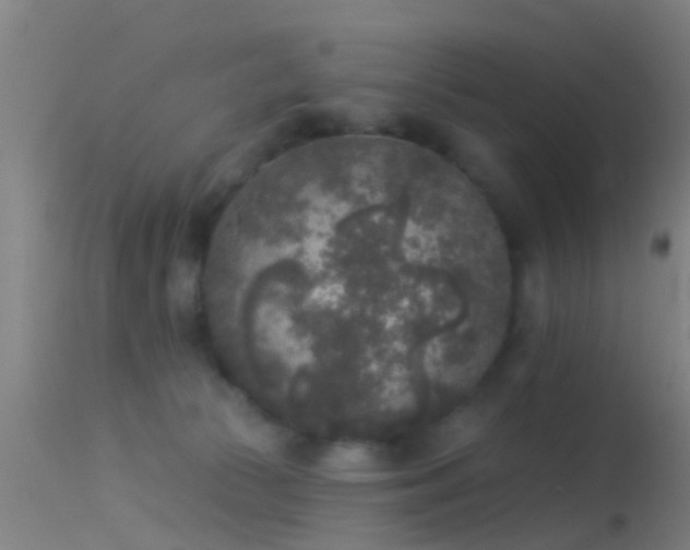 X0000114130177200910151554