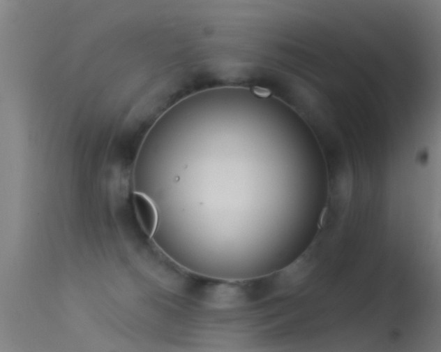 X0000114130180200910151554