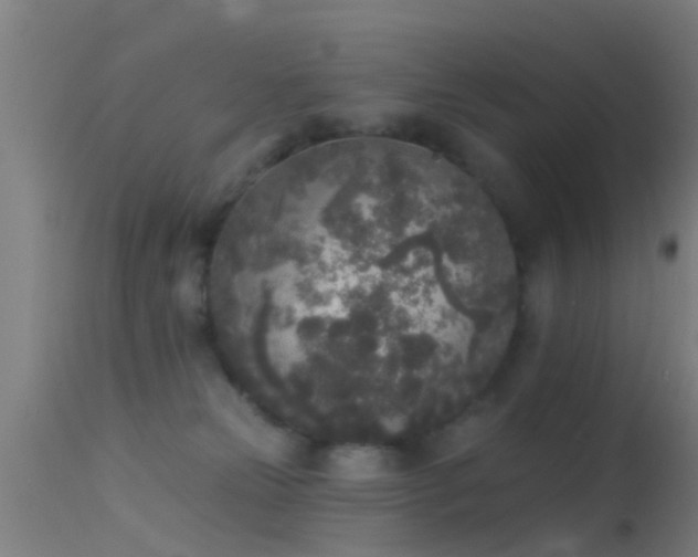 X0000114130181200910151554