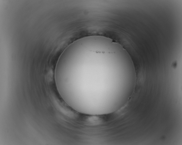 X0000114130183200910151554