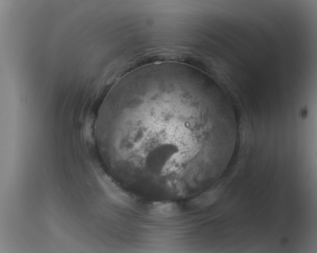 X0000114130185200910151554