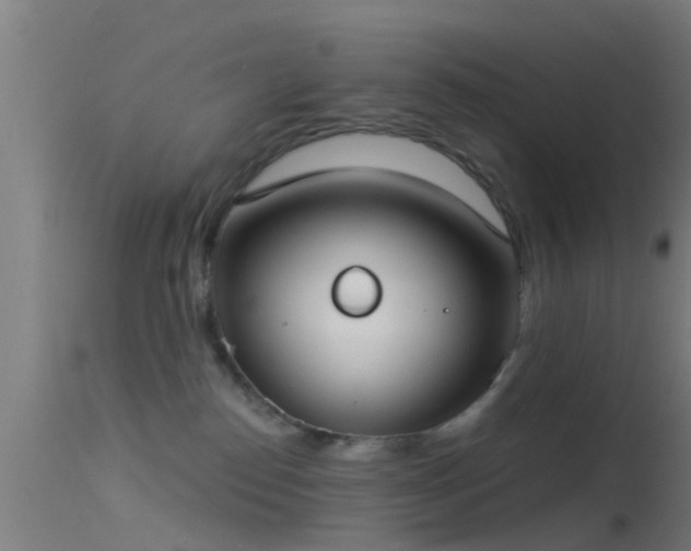 X0000114130186200910151554