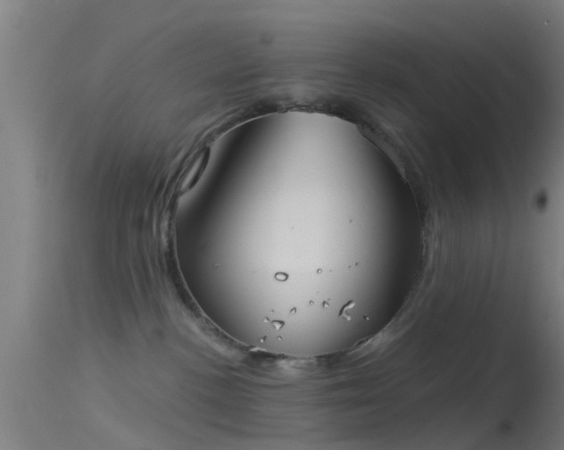 X0000114130188200910151554