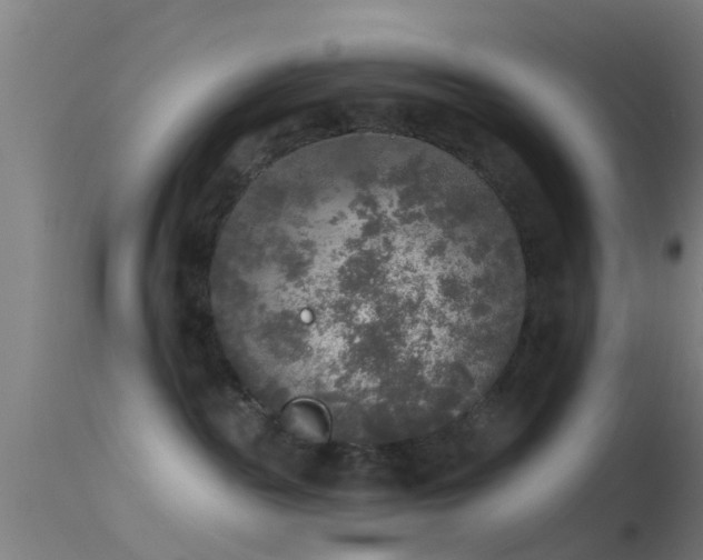 X0000114130189200910151554