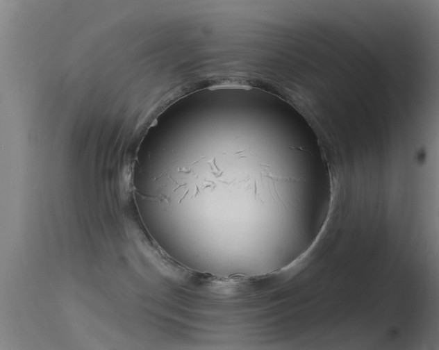 X0000114130190200910151554