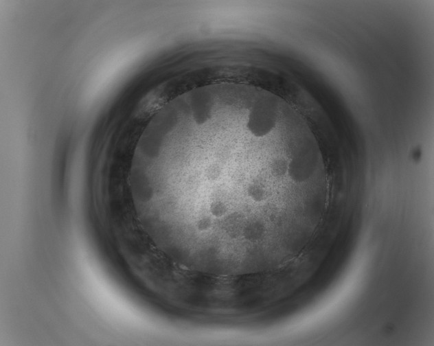 X0000114130191200910151554