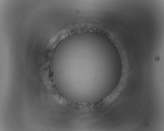 X0000114130192200910151554