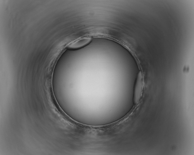 X0000114130193200910151553